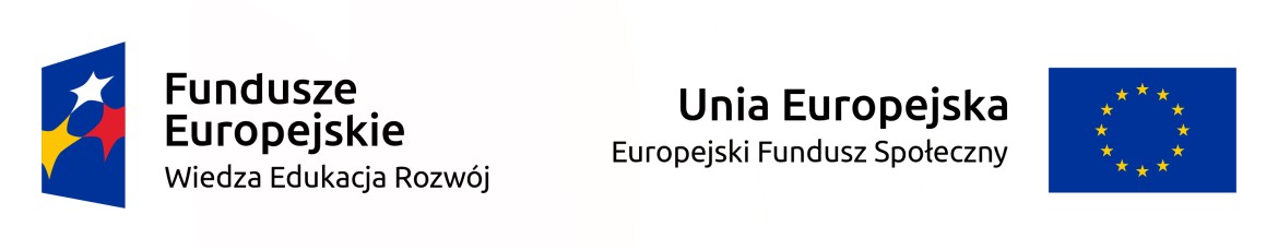 loga UE i FE w kolorze
